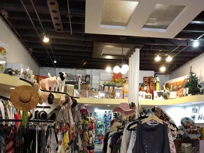 The Painted Lady Cafe