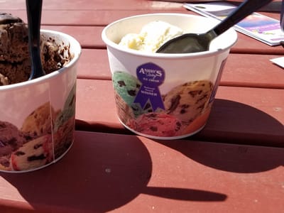 The Painted Lady Cafe