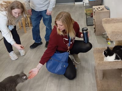 The Pawffee Shop Cat Cafe