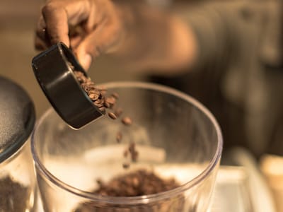 The Perk Coffee Shop