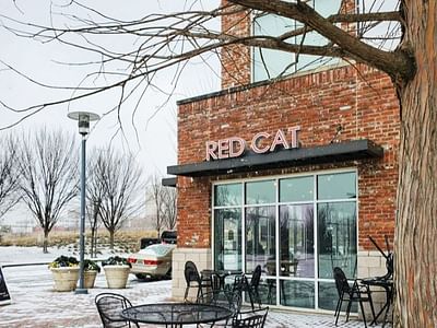 The Red Cat @ Railroad Park