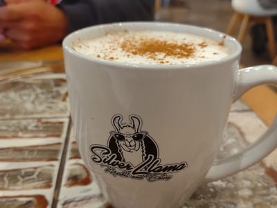 The Silver Llama Market & Eatery