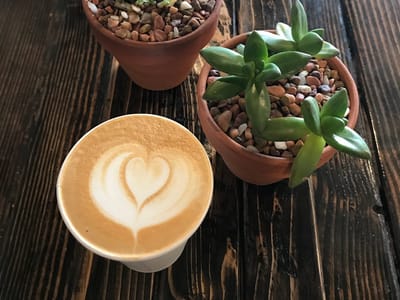 The Simple Coffee House