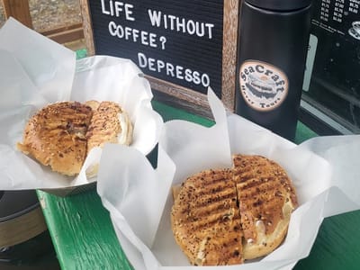 The Sittin' Sasquatch