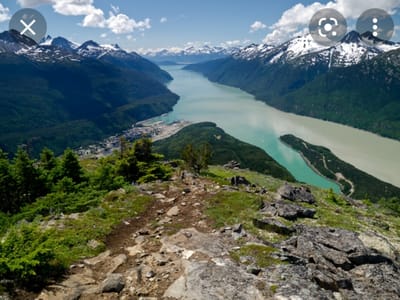 The Sittin' Sasquatch