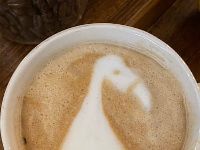 The Sound Cafe + Enlightened Studios