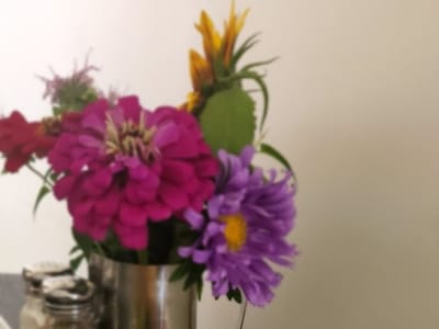 The Sour Doe Cafe & Farm Store