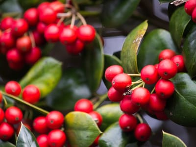 The Spot Coffee and Finery