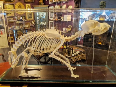 The Strange and Unusual