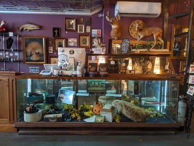 The Strange and Unusual