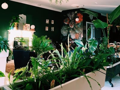 The Tea Room & Lounge