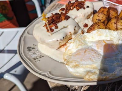 The Toasted Owl Cafe