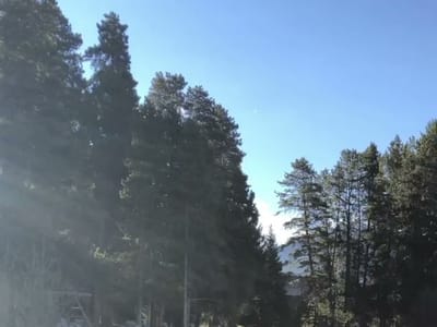 The Wake Coffee Shop