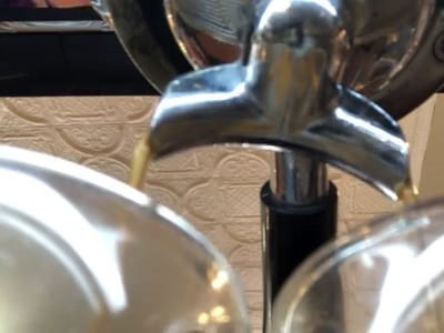 The Wanderer On Gilchrist