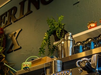 The Wandering Fox Coffee House