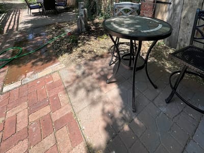 The White Peacock Tea and Coffee Company