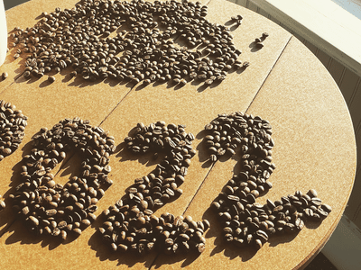 The Whole Bean Coffeehouse