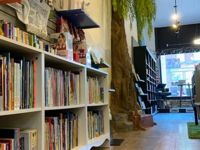The Willow Bookstore