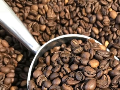 The Yellow Dog Coffee Company, LLC