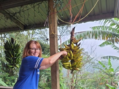 Third Day Coffee Seguin