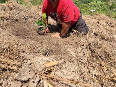 Third Day Coffee Seguin