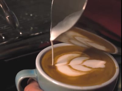 Thirsty Husky Coffee