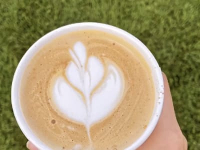 Thirsty Husky Coffee