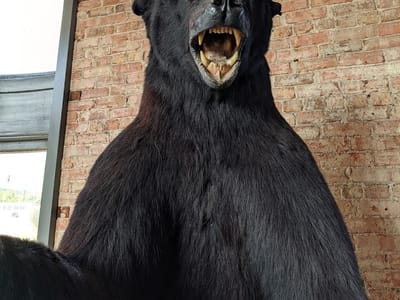 thirty-thirty Coffee Co.