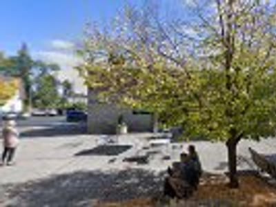 Thomas Hammer Coffee Roasters