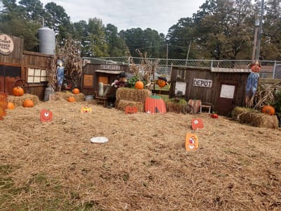 Three Chicks Feed, Seed & Cafe