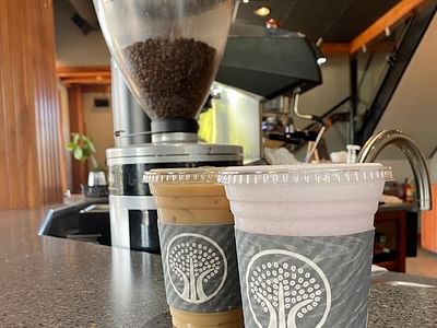 Three Tree Coffee at GSU