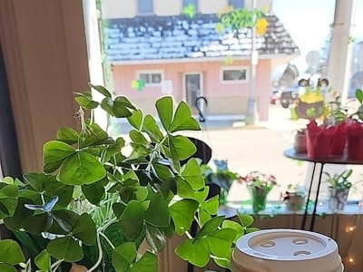 Tiffany’s Buds and Beans