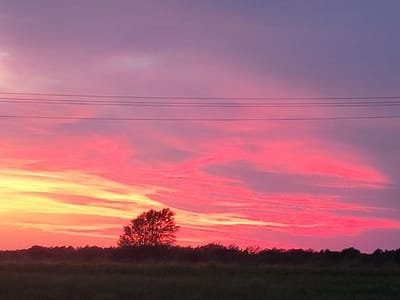 Tiger Coffee & Ice Cream