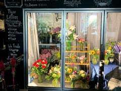 Tiger Lillies Floral and Coffee