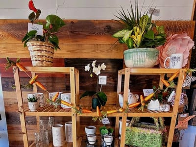 Tiger Lillies Floral and Coffee