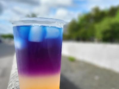 Tiki Turtle's Boba Teas and Drinks