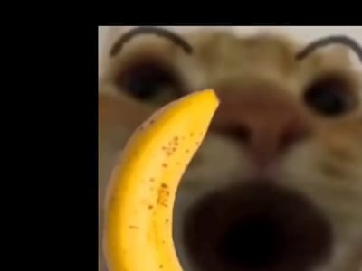 Timber Ridge Espresso