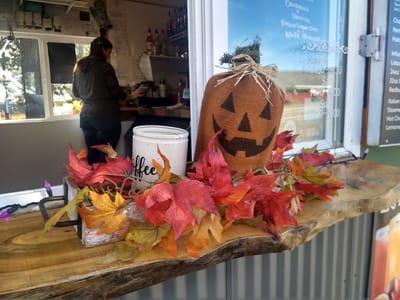 Timber Ridge Espresso