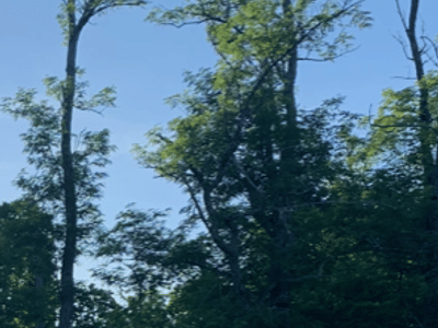 Tincan Coffee Co. LLC