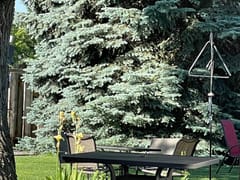 Tite Knot Craft Coffee