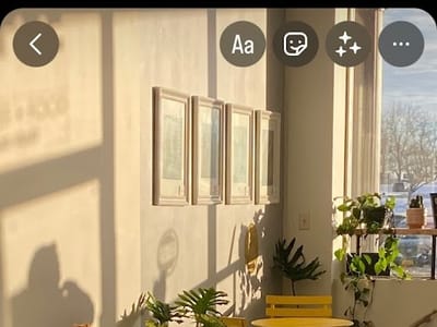 Toast Cicero (was Cafe Bing)