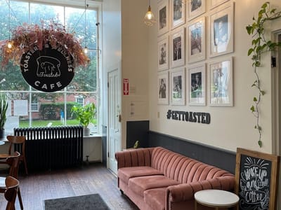 Toasted by Buffalo Beauty Foodie