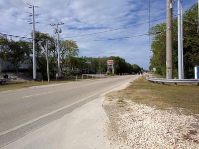 Tom Thumb Food Stores