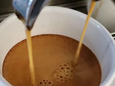 Toomer's Coffee Shop and Roasters