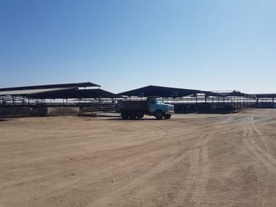 Top O'The Morn Farms-Drive