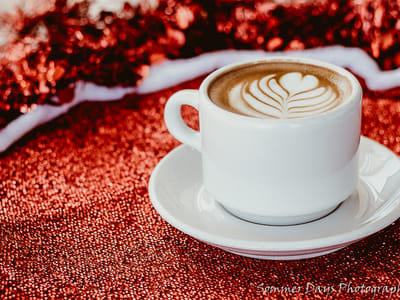 TradeWind Coffee Co.