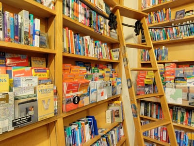 Travel Bug Specialty Book Store, Coffee Shop and Taproom