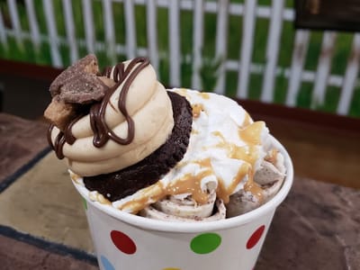 Treehouse Cupcakes & Frozen Treats