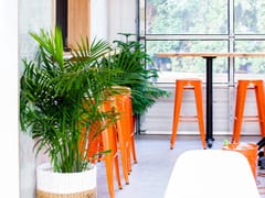 Tried & True Coffee Company