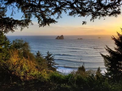 Tropicália Brazilian Cuisine